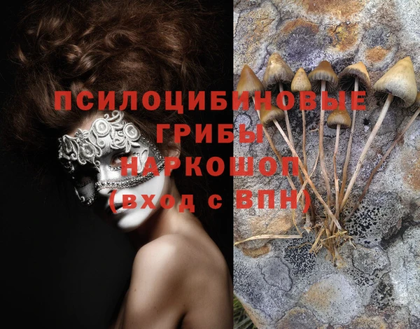индика Верхний Тагил