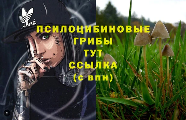 индика Верхний Тагил