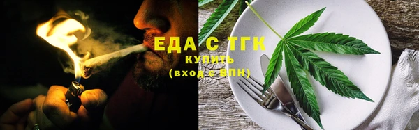 индика Верхний Тагил
