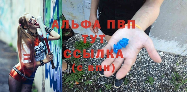 индика Верхний Тагил