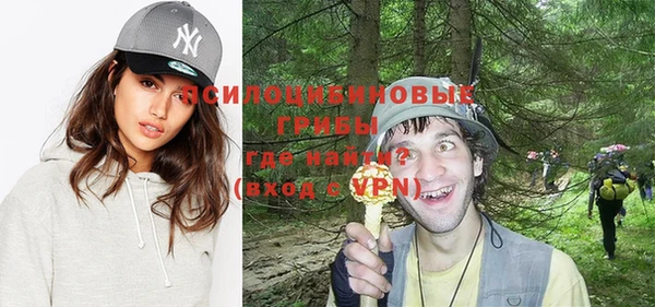 индика Верхний Тагил