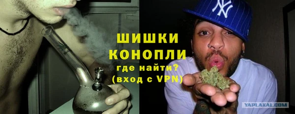 индика Верхний Тагил