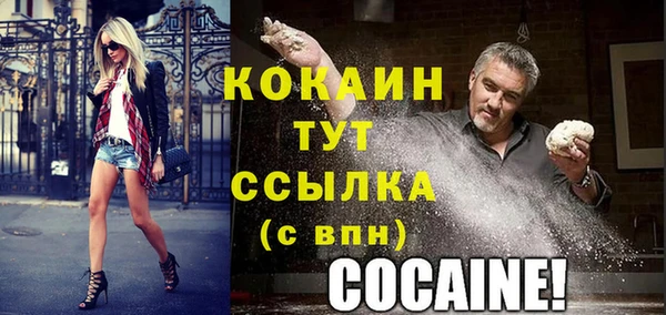 индика Верхний Тагил