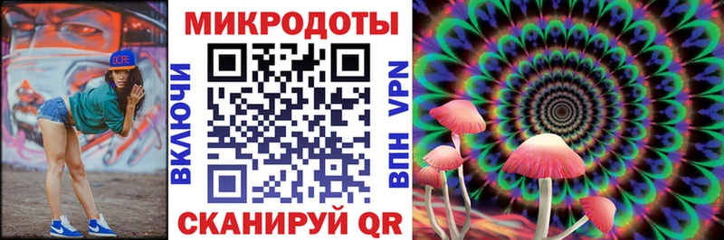 Галлюциногенные грибы мухоморы  где купить наркотик  Ярославль 